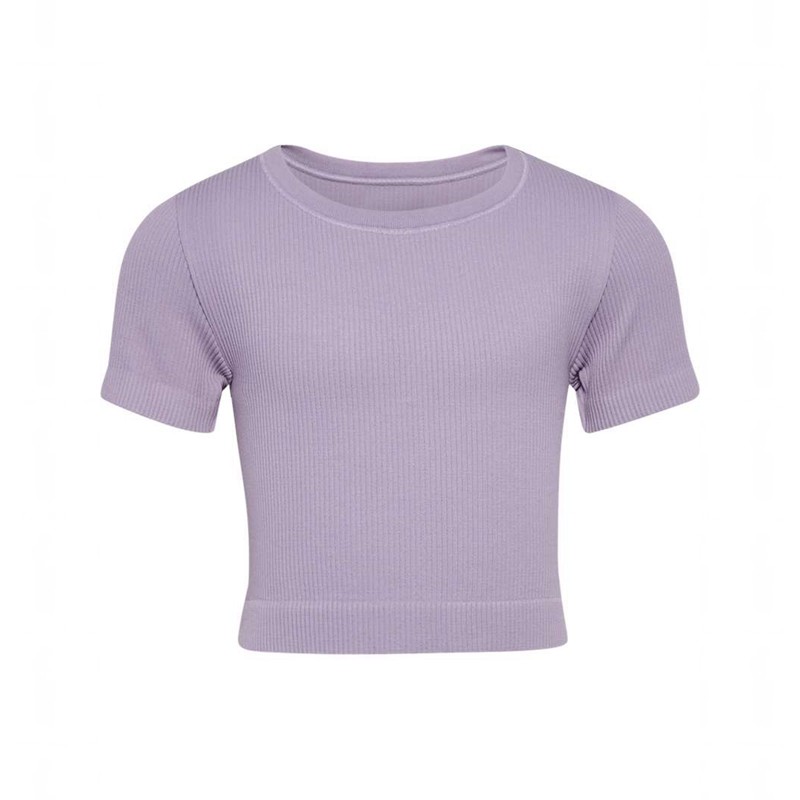 T Shirts Hummel Jr Seamless Rib S/S Enfant Lavande | 223947-341