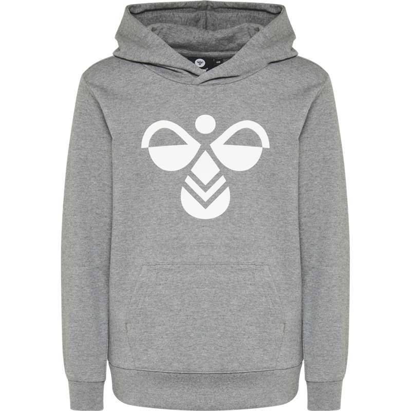 Vêtements De Sport Hummel Cuatro Enfant Grise | 593253-311