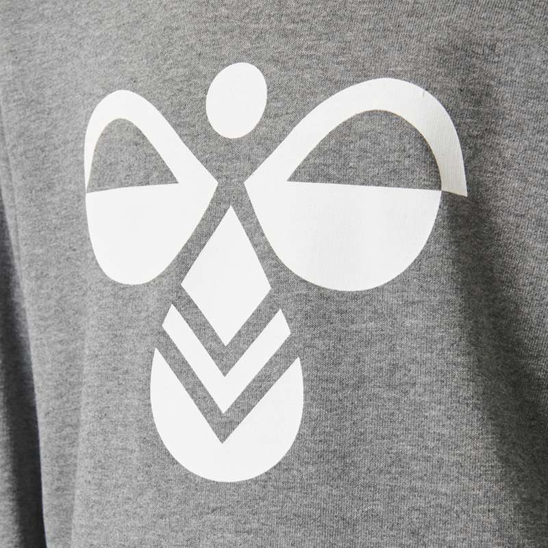 Vêtements De Sport Hummel Cuatro Enfant Grise | 593253-311